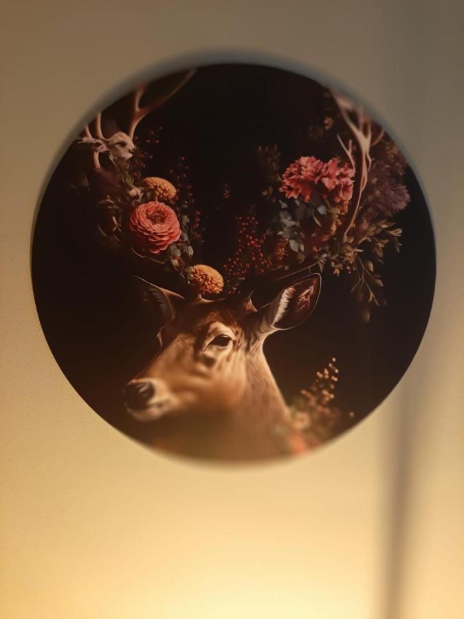 德拉赫滕Grutsk Op 12住宿加早餐旅馆 外观 照片